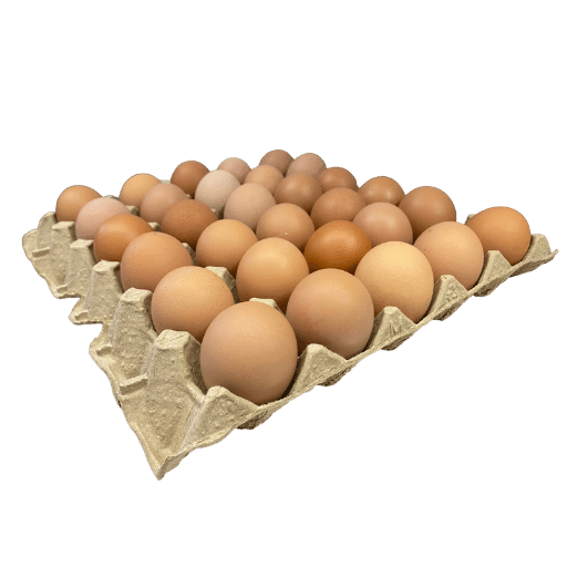 30 Bulk Tray - X Large (700g) Pasture Raised FREE Range Eggs - CALL FOR AVAILABILITY