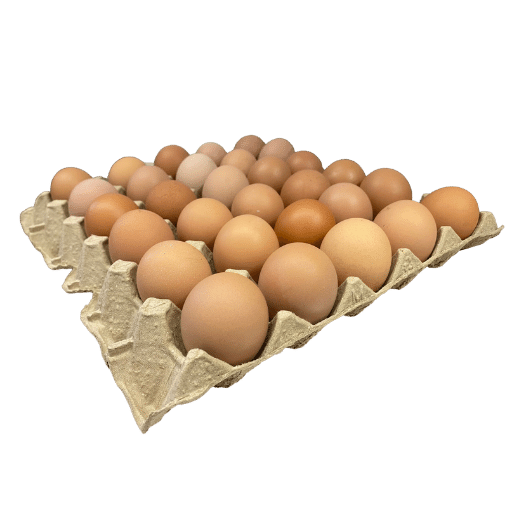 30 Bulk Tray - X Large (800g) Pasture Raised FREE Range Eggs - PICK UP ONLY